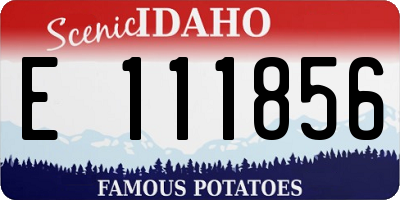 ID license plate E111856