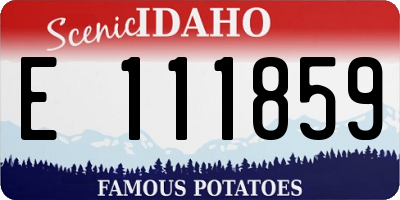 ID license plate E111859