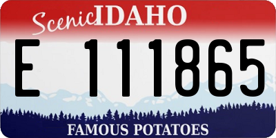 ID license plate E111865