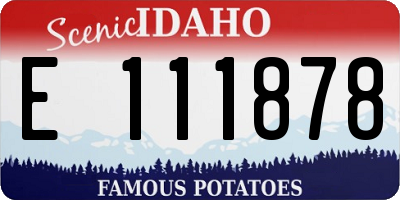 ID license plate E111878