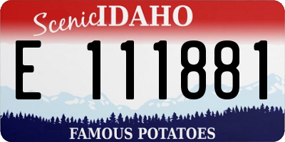 ID license plate E111881