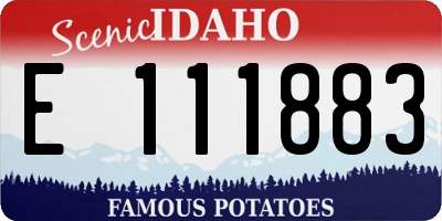 ID license plate E111883