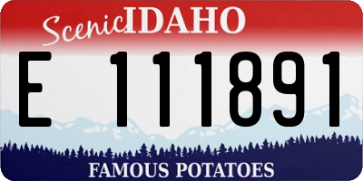 ID license plate E111891