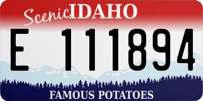 ID license plate E111894
