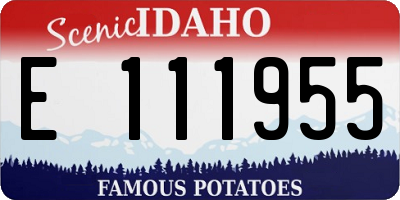 ID license plate E111955