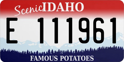 ID license plate E111961