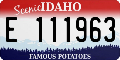 ID license plate E111963