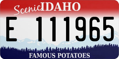 ID license plate E111965