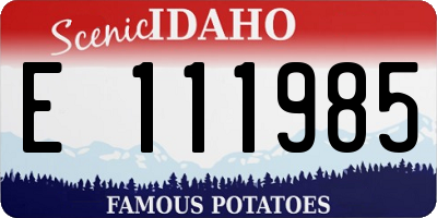 ID license plate E111985