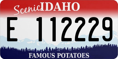 ID license plate E112229