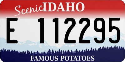 ID license plate E112295