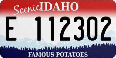 ID license plate E112302