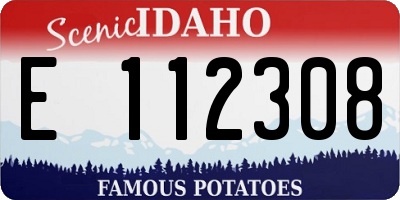 ID license plate E112308
