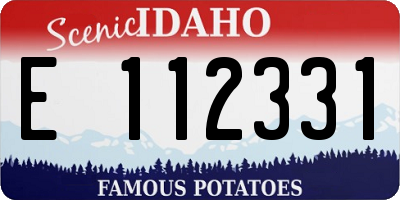 ID license plate E112331
