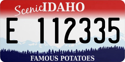 ID license plate E112335