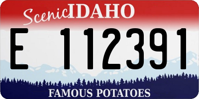 ID license plate E112391