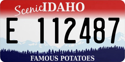 ID license plate E112487