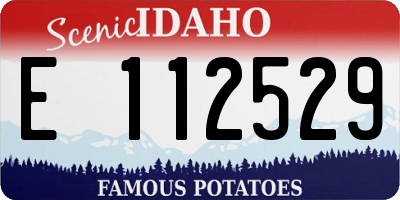 ID license plate E112529