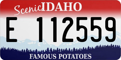 ID license plate E112559