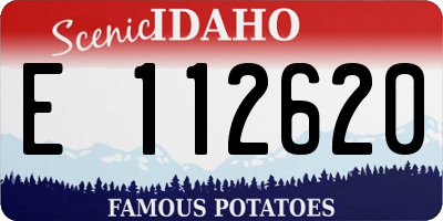 ID license plate E112620