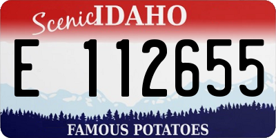 ID license plate E112655