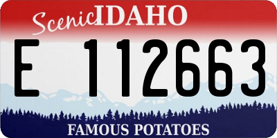 ID license plate E112663