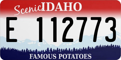 ID license plate E112773