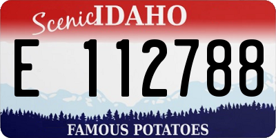 ID license plate E112788