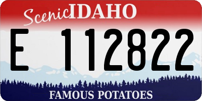 ID license plate E112822