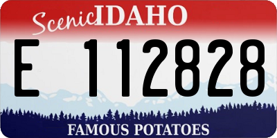 ID license plate E112828