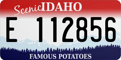 ID license plate E112856