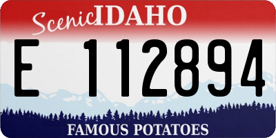 ID license plate E112894