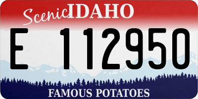 ID license plate E112950
