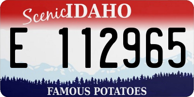 ID license plate E112965