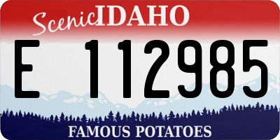 ID license plate E112985