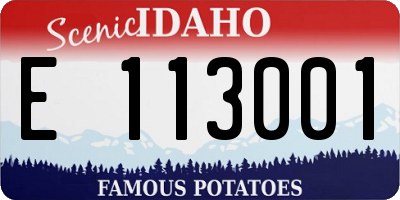 ID license plate E113001