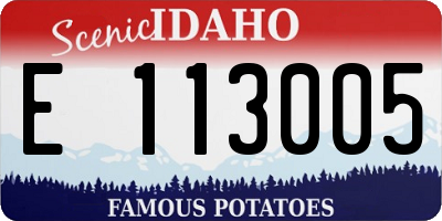 ID license plate E113005