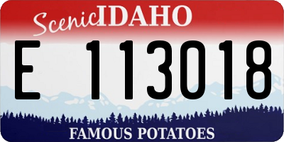 ID license plate E113018