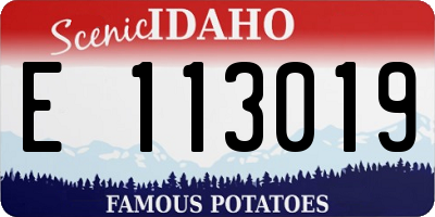 ID license plate E113019