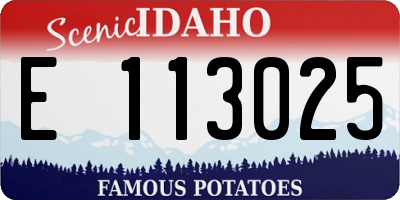 ID license plate E113025