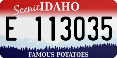 ID license plate E113035