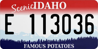 ID license plate E113036