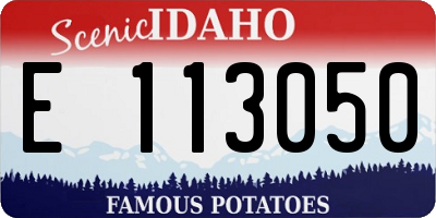 ID license plate E113050