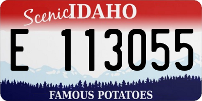 ID license plate E113055