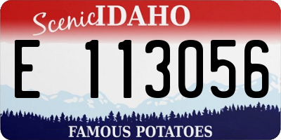 ID license plate E113056