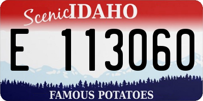 ID license plate E113060