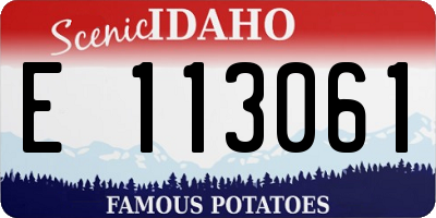 ID license plate E113061