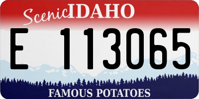 ID license plate E113065