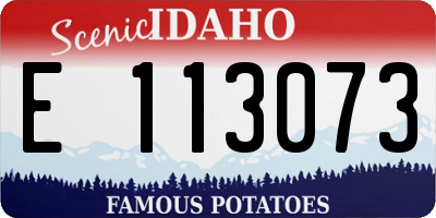 ID license plate E113073