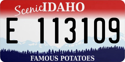 ID license plate E113109